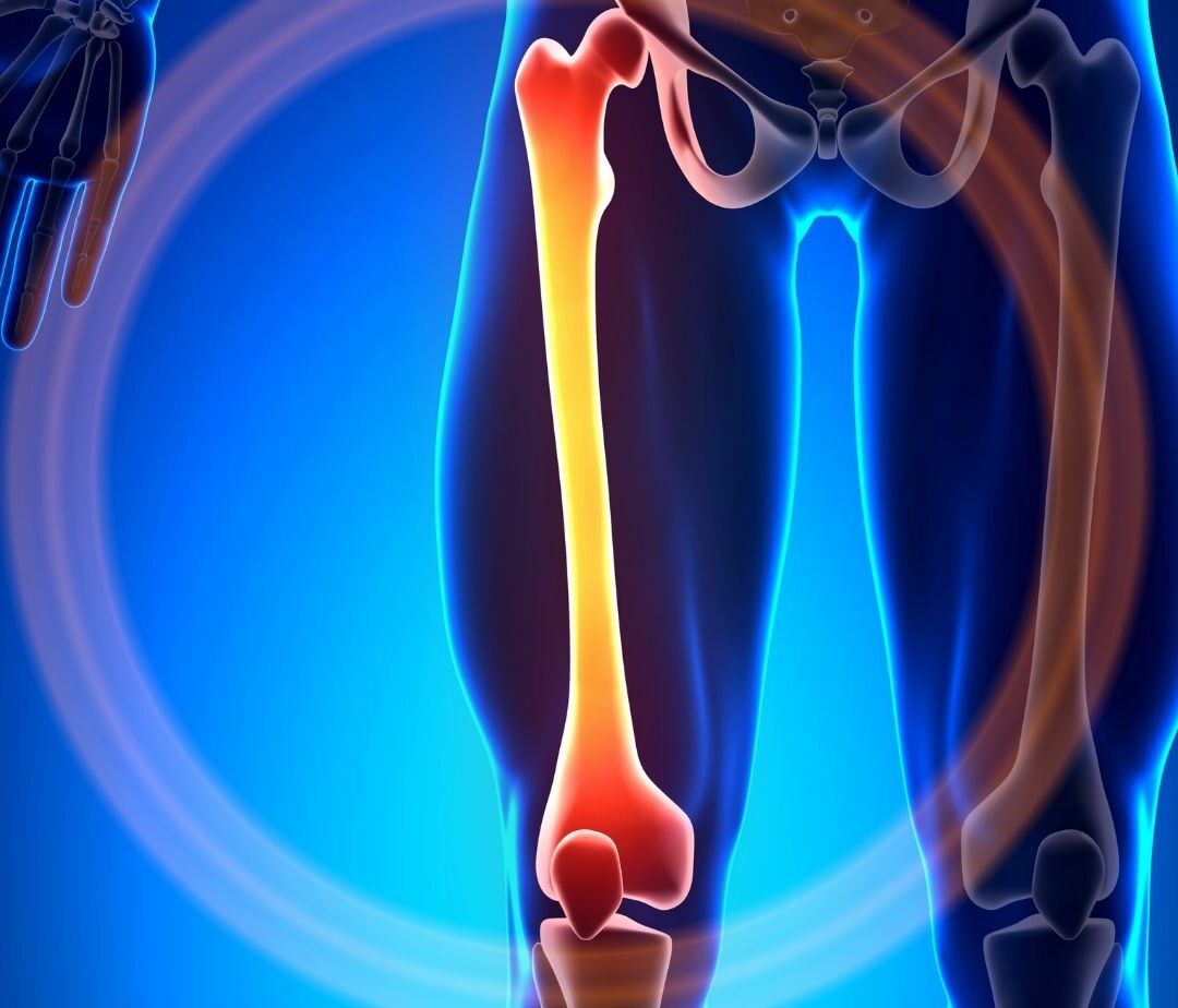 bones do not have a role in __________.