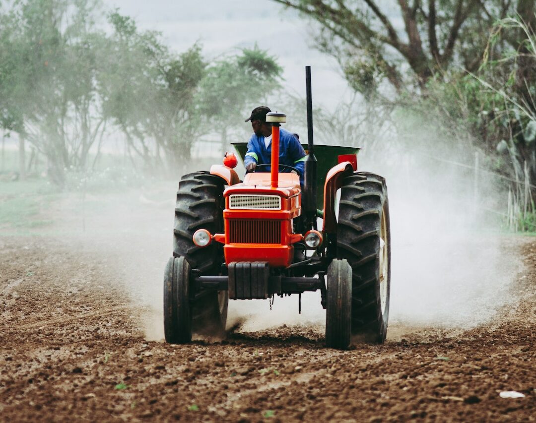 compare and contrast horticultural societies with agricultural societies.