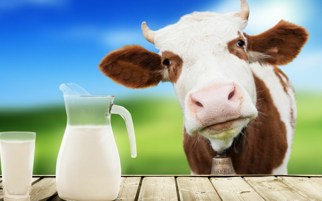 European Dairy and Soy-Free Formula (HiPP formula): A Safe and Beneficial Alternative to Cow Milk