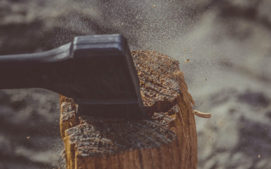 human impact on trees has been completely negative.