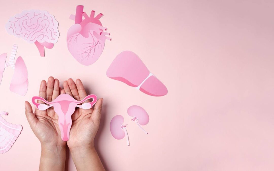 Elevating Your Women’s Health in Boston & Newton: A Holistic Path to Well-being