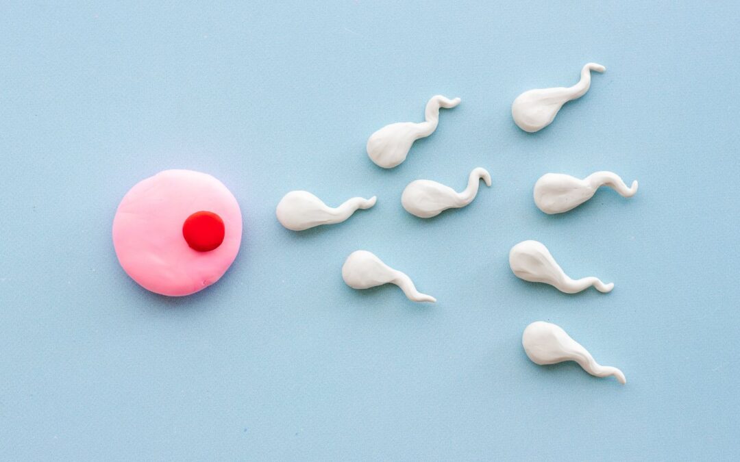 Role of an Ovulation Tracker in Women’s Health