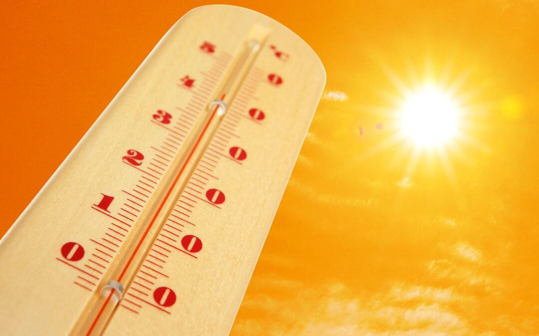 Health-Conscious Packing Tips For Hot Climates